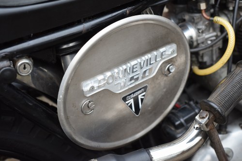 1981 Triumph Bonneville T140ES Flat Tracker zum Verkauf (Bild 44 von 79)