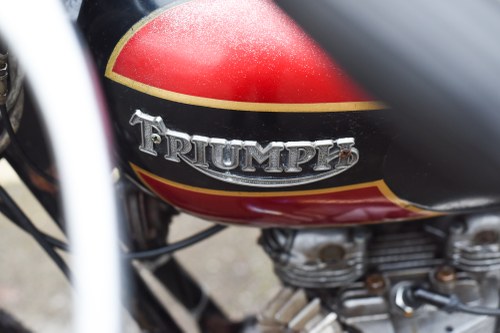 1981 Triumph Bonneville T140ES Flat Tracker zum Verkauf (Bild 59 von 79)