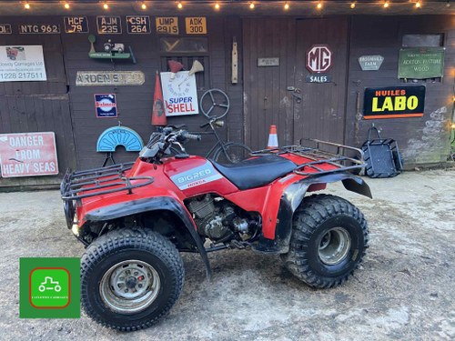 HONDA BIG RED TRX300 4x2 ALL WORKING SPOT ON TIDY QUAD BIKE VERKAUFT