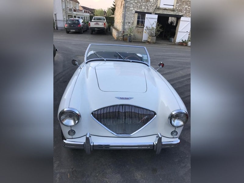 1955 AUSTIN HEALEY 100 BN1