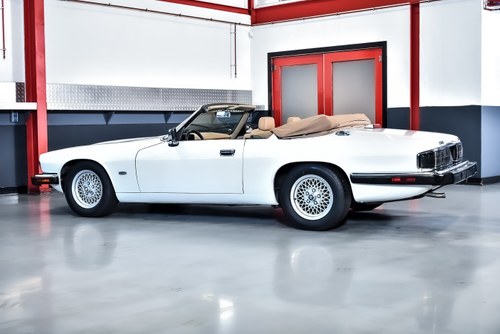 1993 Jaguar XJS Convertible 4,0L I6 En venta (imagen 25 de 115)