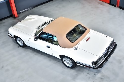 1993 Jaguar XJS Convertible 4,0L I6 En venta (imagen 34 de 115)