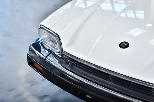 1993 Jaguar XJS Convertible 4,0L I6 En venta (imagen 73 de 115)