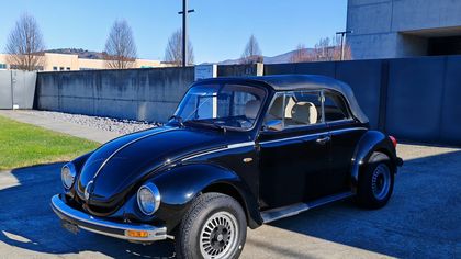 Volkswagen Beetle Square Window