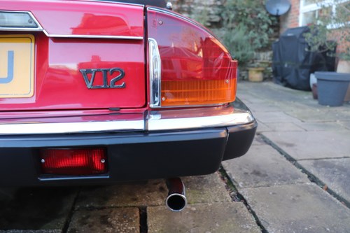 1989 Jaguar XJ-S V12 Convertible For Sale (picture 147 of 310)