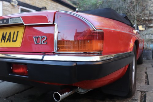 1989 Jaguar XJ-S V12 Convertible For Sale (picture 164 of 310)