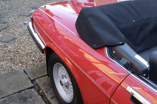 1989 Jaguar XJ-S V12 Convertible For Sale (picture 168 of 310)