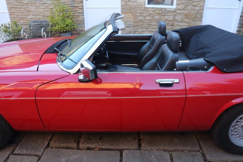 1989 Jaguar XJ-S V12 Convertible For Sale (picture 188 of 310)