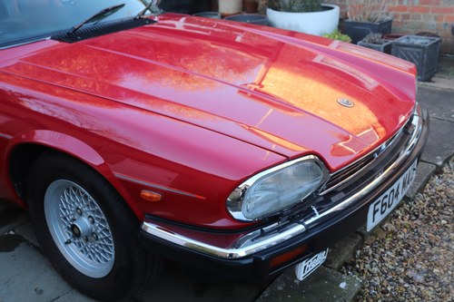 1989 Jaguar XJ-S V12 Convertible For Sale (picture 206 of 310)