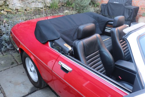 1989 Jaguar XJ-S V12 Convertible For Sale (picture 222 of 310)