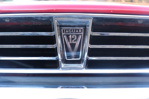 1989 Jaguar XJ-S V12 Convertible For Sale (picture 237 of 310)