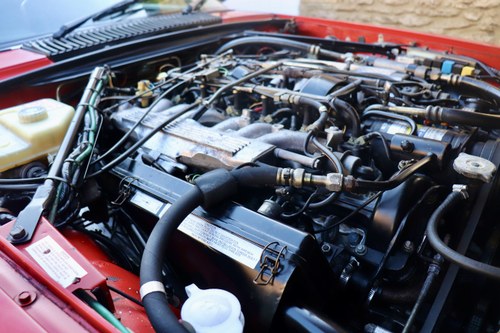 1989 Jaguar XJ-S V12 Convertible For Sale (picture 259 of 310)