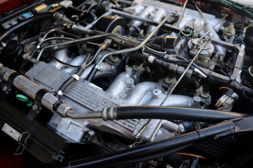 1989 Jaguar XJ-S V12 Convertible For Sale (picture 271 of 310)