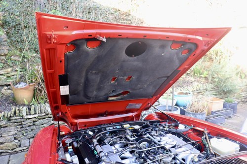 1989 Jaguar XJ-S V12 Convertible For Sale (picture 288 of 310)