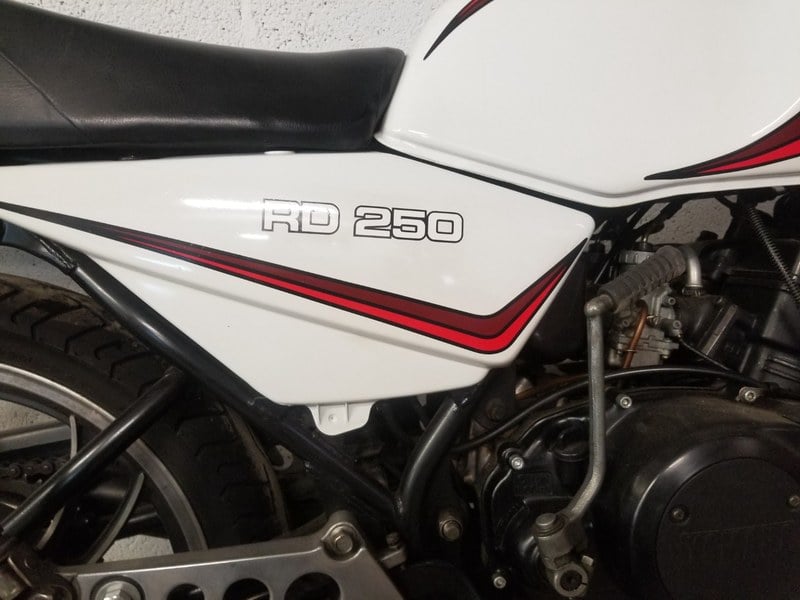 1981 Yamaha RDLC 250 4L1
