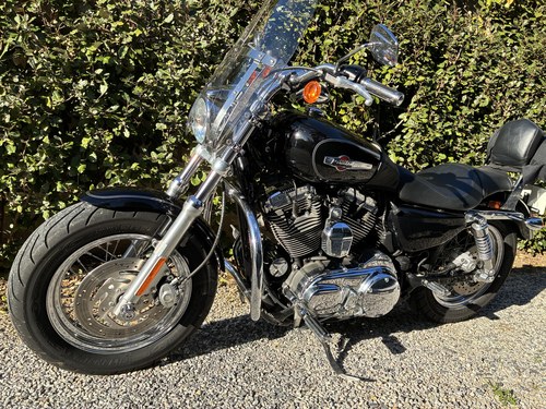 2011 Harley Davidson XL1200 Custom Sportster zum Verkauf (Bild 3 von 21)