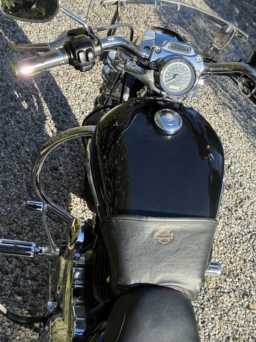 2011 Harley Davidson XL1200 Custom Sportster zum Verkauf (Bild 6 von 21)