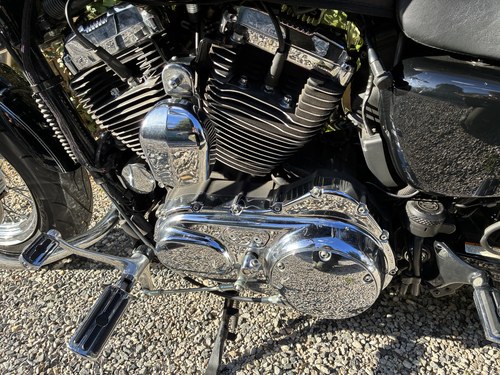 2011 Harley Davidson XL1200 Custom Sportster zum Verkauf (Bild 11 von 21)