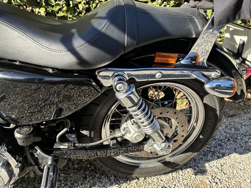 2011 Harley Davidson XL1200 Custom Sportster zum Verkauf (Bild 13 von 21)