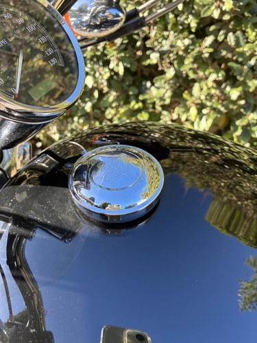 2011 Harley Davidson XL1200 Custom Sportster zum Verkauf (Bild 18 von 21)