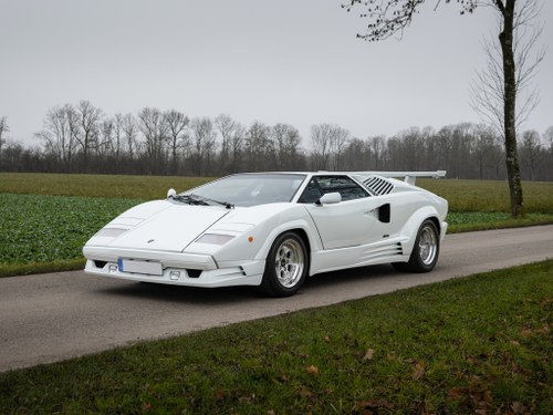 1989 Lamborghini Countach 25th Anniversary Edition For Sale by Auction