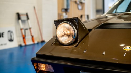 1975 Lotus Elite 501 In vendita (immagine 84 di 142)