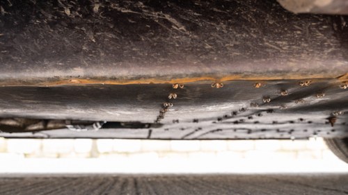 1963 Formosa 120GR Long Nose For Sale (picture 171 of 180)