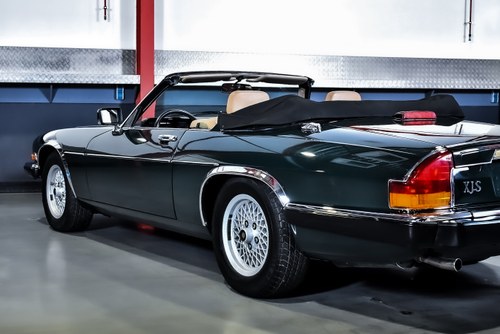 1989 Jaguar XJS Convertible 5,3L V12 For Sale (picture 96 of 117)