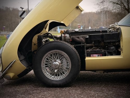 1969 Jaguar E-Type Series 2 4.2 2+2 FHC Automatic In vendita (immagine 60 di 105)
