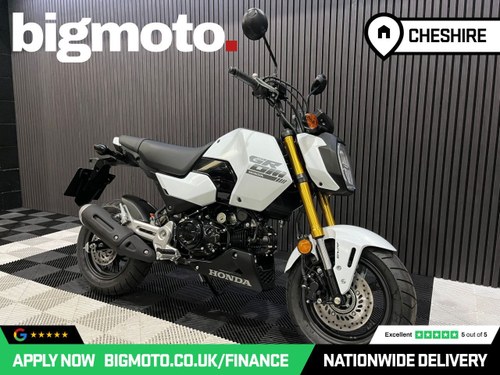 2025 HONDA MSX125 FINANCE SPECIALISTS APPLY NOW Kaufen Bei