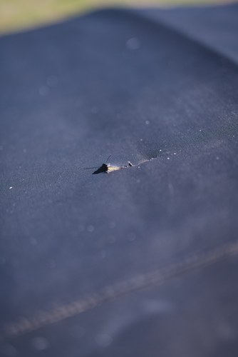 1960 Alfa Romeo Spider 2000 by Touring In vendita (immagine 64 di 120)