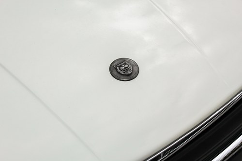 1989 Jaguar XJ-S Convertible till salu (bild 83 av 143)