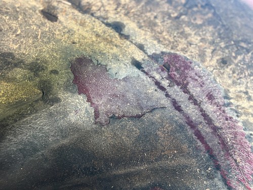 1974 BMW 2002 Tii à venda (imagem 152 de 186)