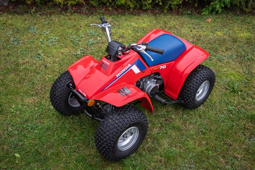 1980 Honda TRX 70 For Sale (picture 3 of 24)
