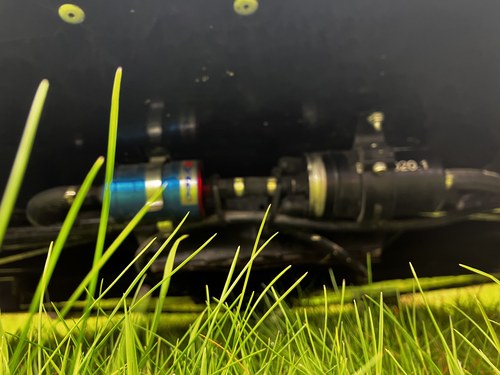 2004 Dax Rush En venta (imagen 91 de 96)