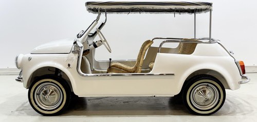 1975 Fiat 500 Jolly Spiaggina America Replica In vendita (immagine 2 di 127)