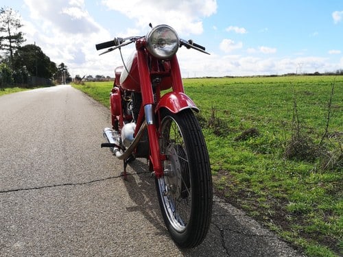 1957 MV Agusta 175 à vendre (picture 5 of 48)