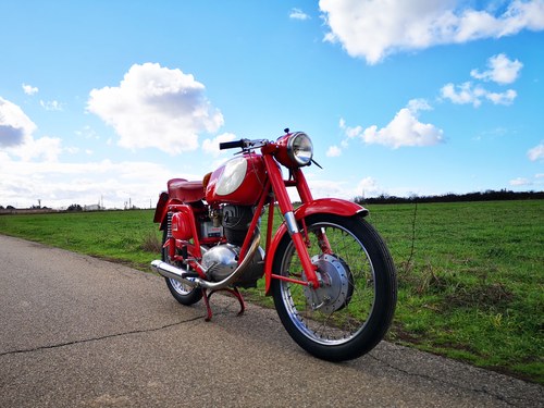 1957 MV Agusta 175 à vendre (picture 8 of 48)