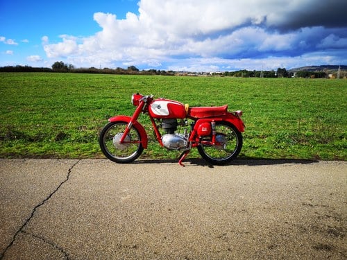 1957 MV Agusta 175 à vendre (picture 12 of 48)