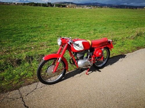 1957 MV Agusta 175 à vendre (picture 16 of 48)
