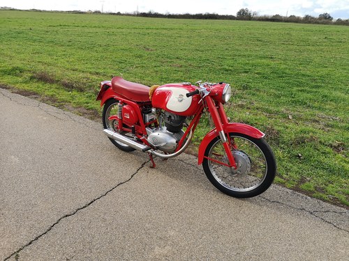 1957 MV Agusta 175 à vendre (picture 17 of 48)