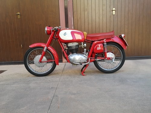 1957 MV Agusta 175 à vendre (picture 29 of 48)