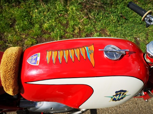 1957 MV Agusta 175 à vendre (picture 44 of 48)