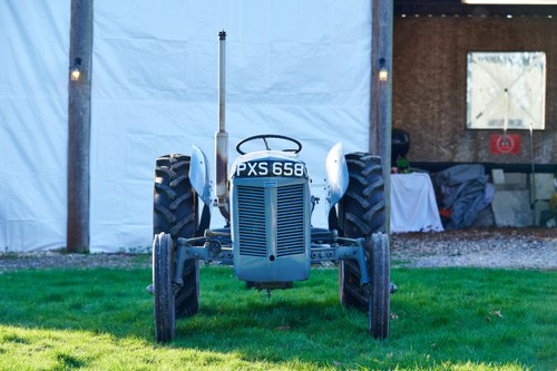 1948 Ferguson TEA-20 Tractor à venda (imagem 3 de 78)