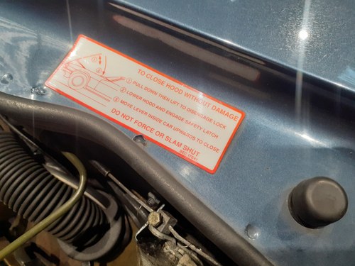 1994 Jaguar XJ-S 6 Ltr Convertible TWR Te koop (foto 170 van 207)