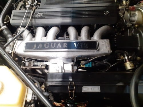 1994 Jaguar XJ-S 6 Ltr Convertible TWR Te koop (foto 181 van 207)