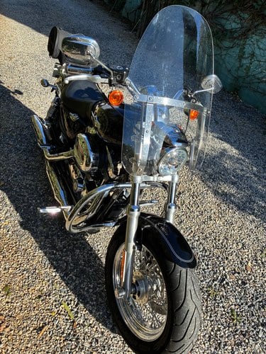 2011 Harley Davidson XL1200 Custom Sportster à venda (imagem 2 de 21)