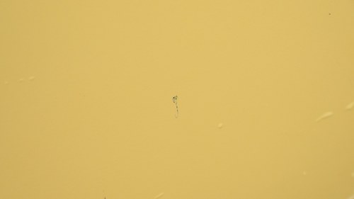 1972 Peugeot 304 Cabriolet In vendita (immagine 176 di 223)