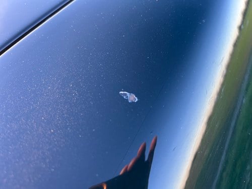 1993 Jaguar XJS 4L Coupe For Sale (picture 114 of 198)