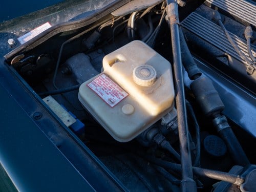 1993 Jaguar XJS 4L Coupe For Sale (picture 150 of 198)